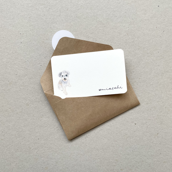 ミニチュアシュナウザーのメッセージカード サンキューカード 20枚 2枚目の画像