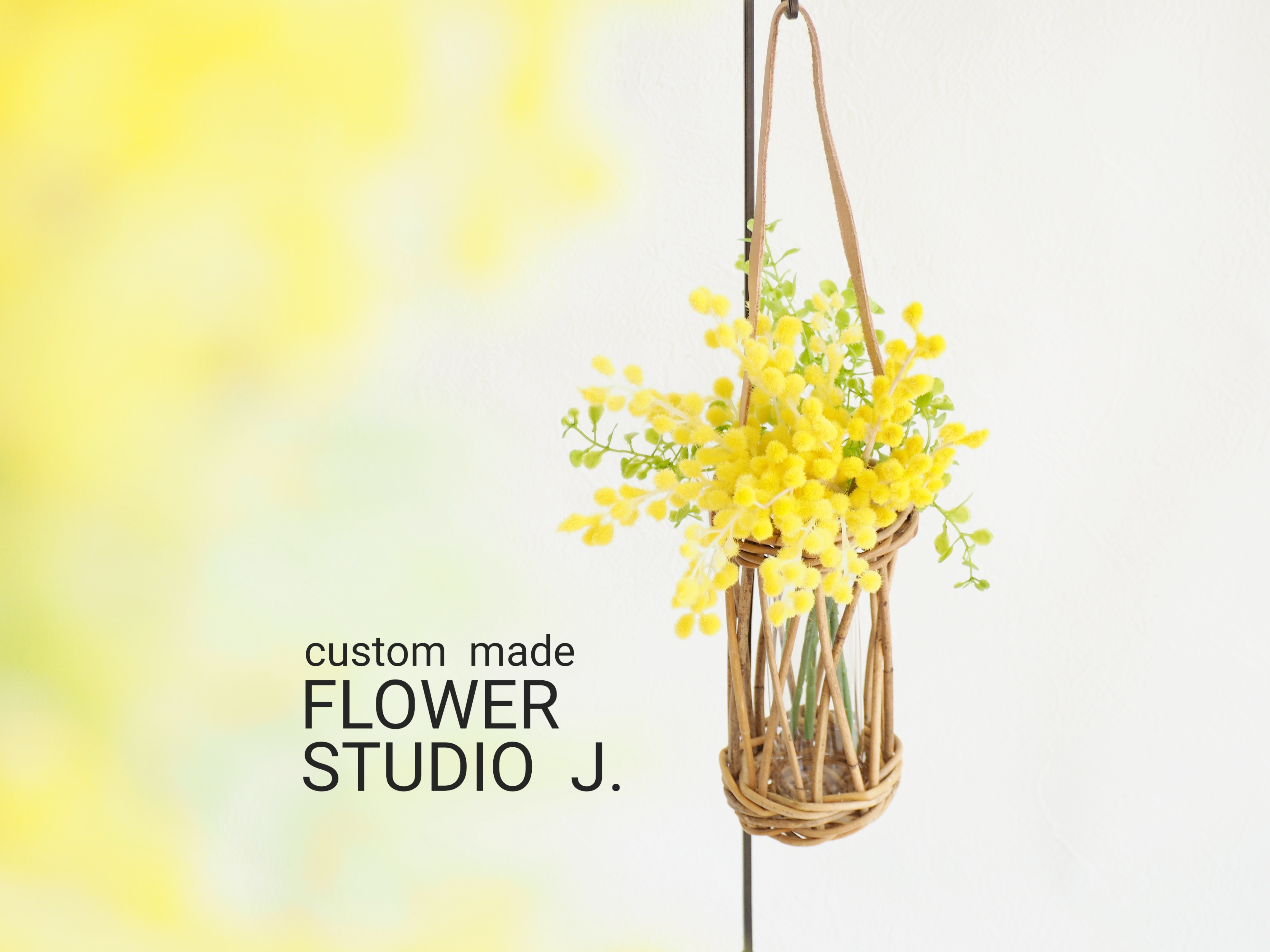 Magical Water / HANGING BASKET Mimosa