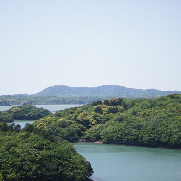 伊勢志摩の海で私たちが育てたアコヤ真珠 9.8mm & 9.1mm 2粒 バンクル 5枚目の画像