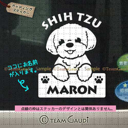 オーダー受付　シーズー　ご予約ページ　8/9 オーダー受付 シーズー ご予約ページ 8/9 犬の販売 シーズー (千葉県