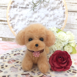 羊毛フェルト トイプードルちゃん（伏せ） 羊毛フェルト hiromisaku