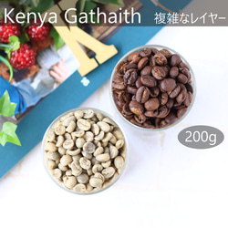 ケニア ガタイティ AA 200g "ジューシーなデザートタイプ" 複雑な風味 スペシャルティコーヒー 1枚目の画像