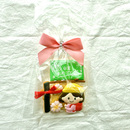 卒業祝いアイシングクッキー クッキー モンプティクーアイシング