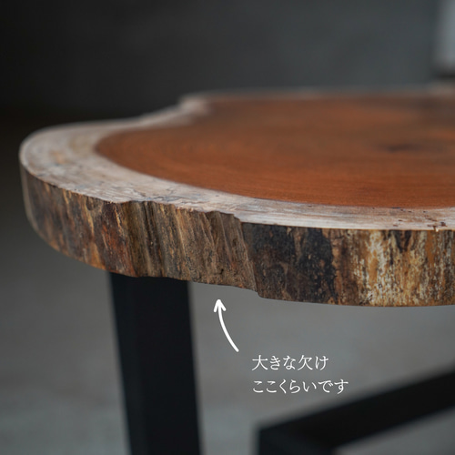 限定1台！　大きな欅輪切り一枚板　リビングテーブル 大きな欅輪切り1枚板 Living Table | RoomZ interior