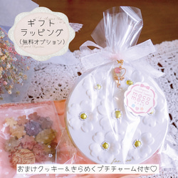 【オーガニック＆グルテンフリー＆ヴィーガン】お花とねこの米粉クッキー缶 6枚目の画像