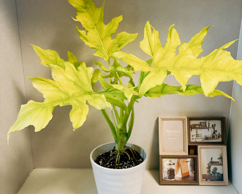 e8c51b373b6216671a9af88a2214c3