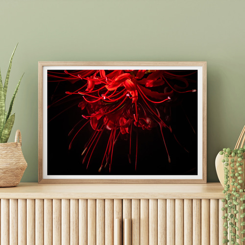 アートポスター カナ・ビリル・マイヤー エキシビジョンポスター アートポスター カナ・ビリル・マイヤー エキシビジョンポスター