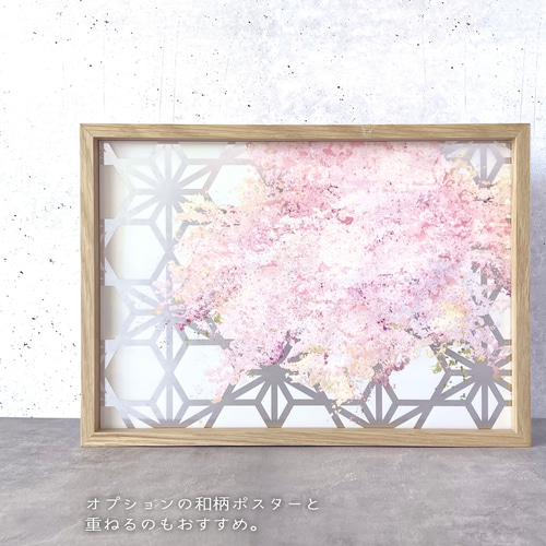 A3サイズ追加 / -桜- 重ねて楽しむ 花と草木の透明ポスター