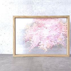 \ A3サイズ追加 / -桜- 重ねて楽しむ 花と草木の透明ポスター 5枚目の画像