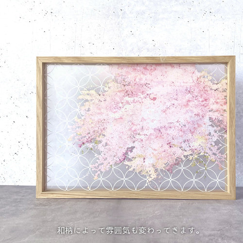 桜 - 透明ポスター〈A4／A3・重ねて楽しむインテリアアート〉｜草花で
