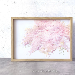 \ A3サイズ追加 / -桜- 重ねて楽しむ 花と草木の透明ポスター 6枚目の画像