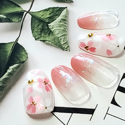 スネイルシェル　千秋　輸入版 ☆ SONAIL PLUS AIKOセレクト クラシカル ホワイトパール ネイル