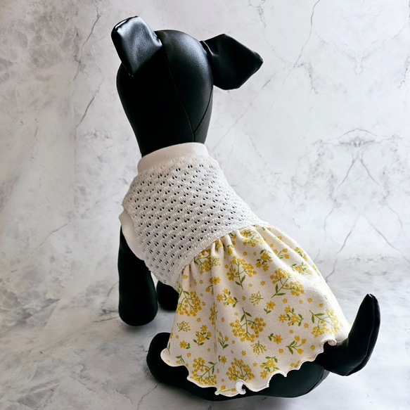 【Sサイズ】犬服　ミモザ柄　フリフリワンピース　ハンドメイド　日本製　チワワ　小型犬　花柄　レースニット 6枚目の画像