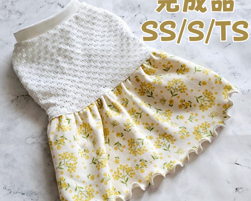 犬服 ミモザ柄 フリフリワンピース ハンドメイド 日本製 チワワ 小型犬