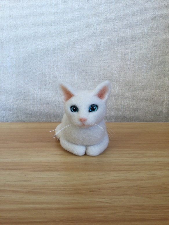 羊毛フェルト 白猫 箱座り ブルーアイ 羊毛フェルト masapan