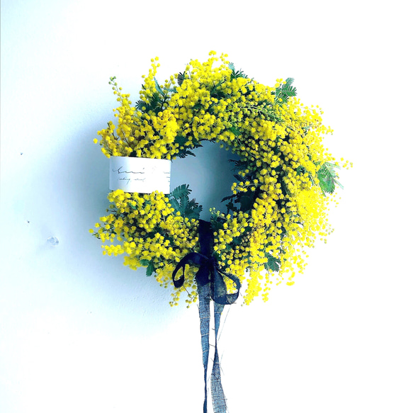 ミモザ満開！】〜ミモザリース～全面タイプ 約19〜22cm ドライフラワー  