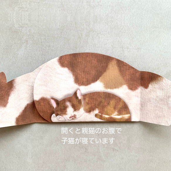 まるまる猫のぽち袋 〜親子〜 6枚目の画像