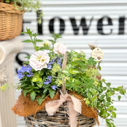 寄せ植え 花□季節の花の豪華なブリコラージュフラワー 堪え