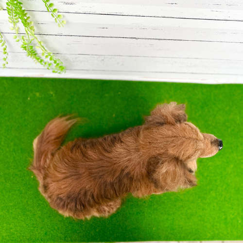 羊毛フェルトオーダー 愛犬 ダックス ♡ 実物大 世界でたった一つ