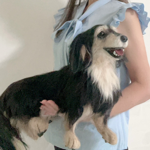 羊毛フェルトオーダー 愛犬 ダックス ♡ 実物大 世界でたった一つ