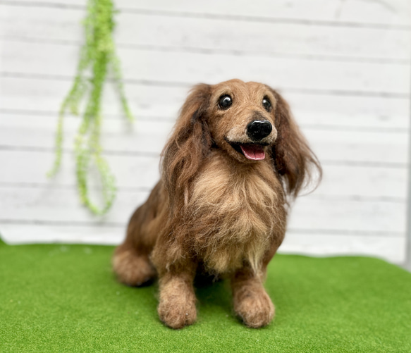 羊毛フェルトオーダー 愛犬 ダックス ♡ 実物大 世界でたった一つ