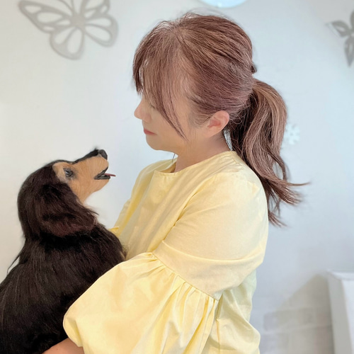 羊毛フェルトオーダー 愛犬 ダックス ♡ 実物大 世界でたった一つ
