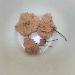春を感じて　桜バスソルト　 3枚目の画像