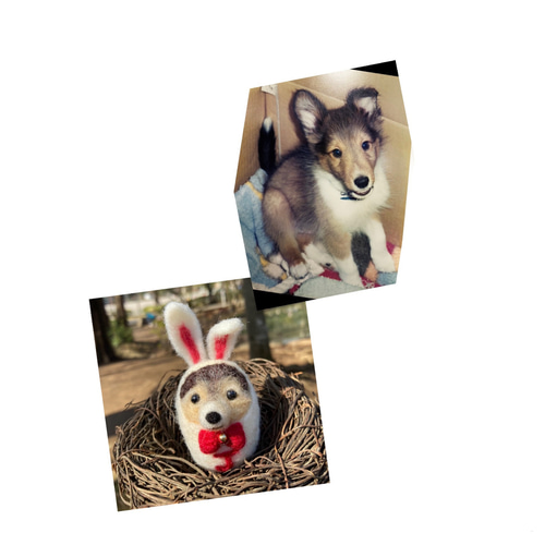 羊毛フェルト犬 うちのこイースター 羊毛フェルトイースター 羊毛 