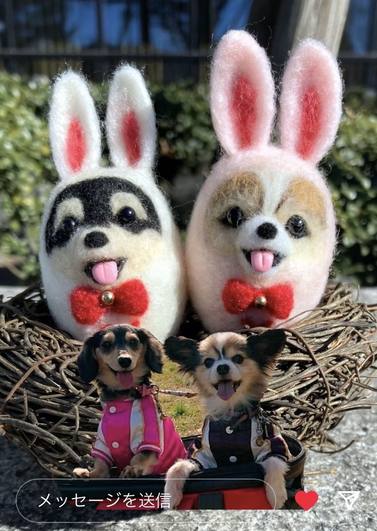 さおり様 羊毛フェルト チワワ ハンドメイド 犬 さおり様 構える 羊毛フェルト チワワ ハンドメイド 犬