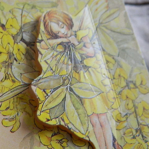 FAIRY PLACES フラワーフェアリー 花の妖精たち しかけ絵本