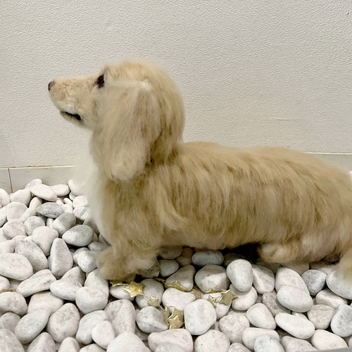 オーダー 犬 ダックス 羊毛フェルト 世界でたった一つ♡たまには抱っこ