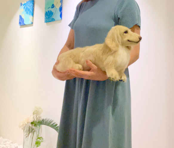 オーダー 犬 ダックス 羊毛フェルト 世界でたった一つ♡たまには抱っこ
