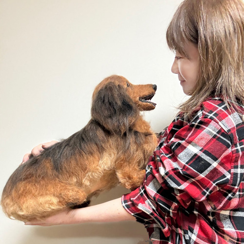 オーダー 犬 ダックス 羊毛フェルト 世界でたった一つ♡たまには抱っこ