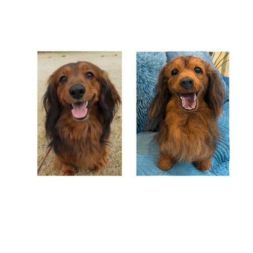 オーダー 犬 ダックス 羊毛フェルト 世界でたった一つ♡たまには抱っこ