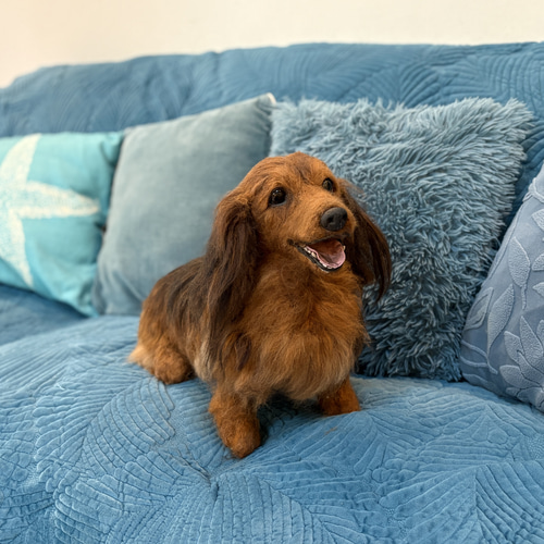 オーダー 犬 ダックス 羊毛フェルト 世界でたった一つ♡たまには抱っこ