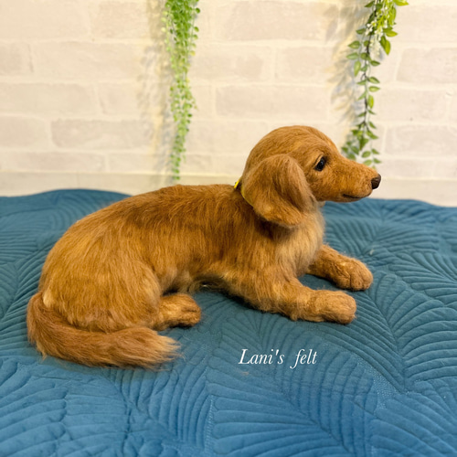 オーダー 犬 ダックス 羊毛フェルト 世界でたった一つ♡たまには抱っこ