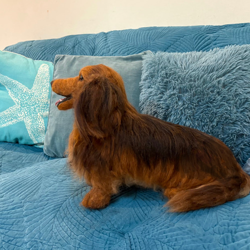 オーダー 犬 ダックス 羊毛フェルト 世界でたった一つ♡たまには抱っこ