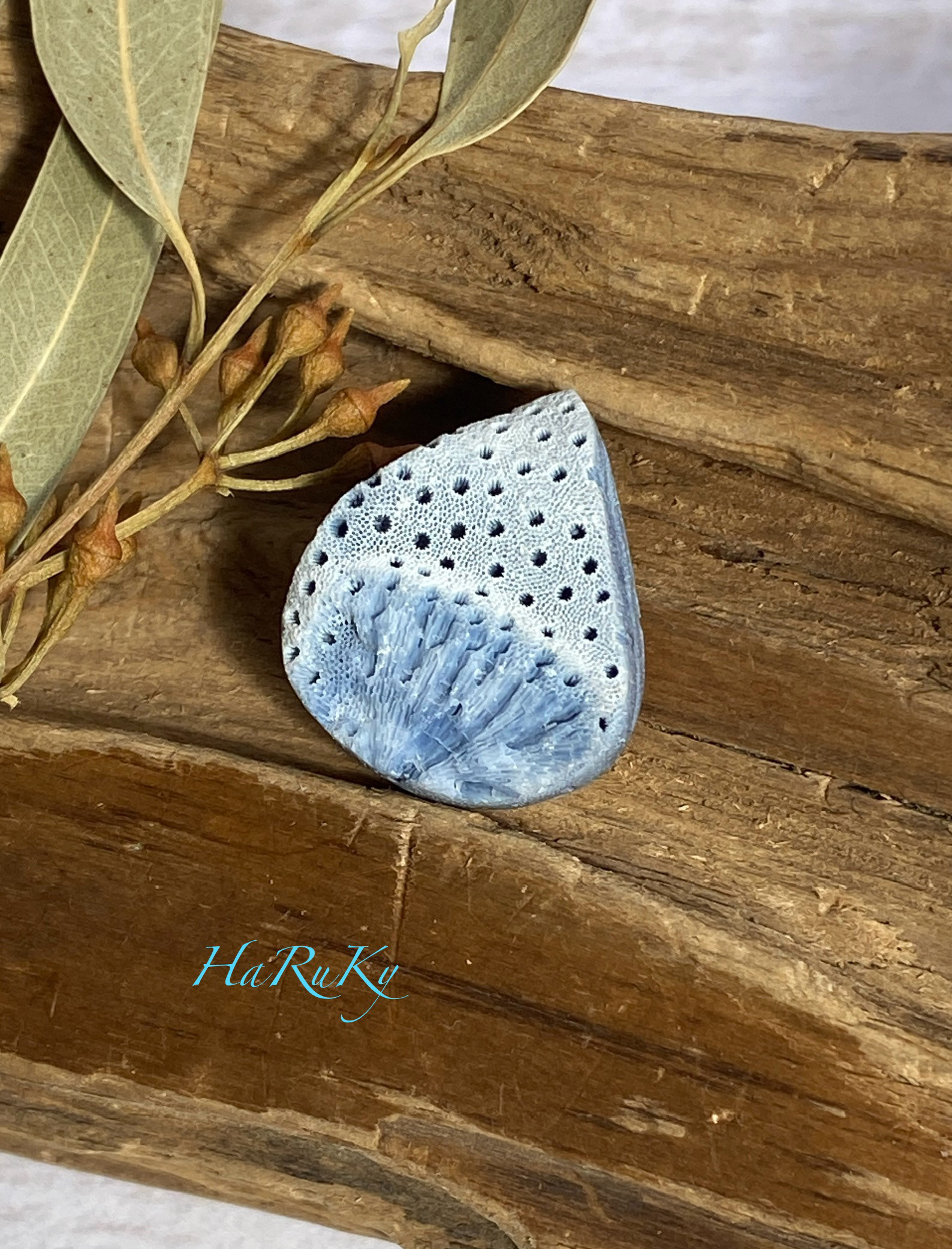 天然珊瑚 7.0カラット ルース 裸石 天然石 サンゴ