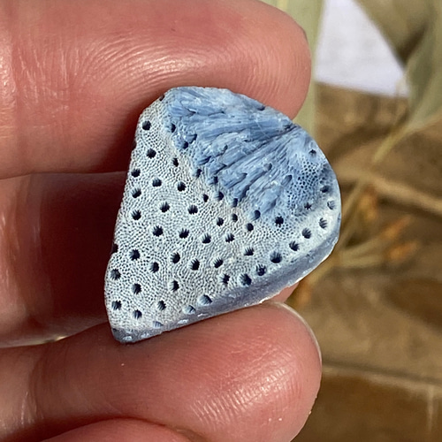 ＊* ブルーコーラル 青サンゴ 珊瑚 原石 天然石 *＊ 粒売り】青珊瑚 ブルーコーラル6mm｜咲耶開運堂