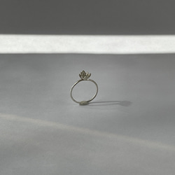 ヒツジグサの指輪 ジルコン sv925 スイレン　12月誕生石 10枚目の画像