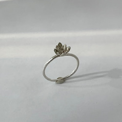 ヒツジグサの指輪 ジルコン sv925 スイレン　12月誕生石 1枚目の画像