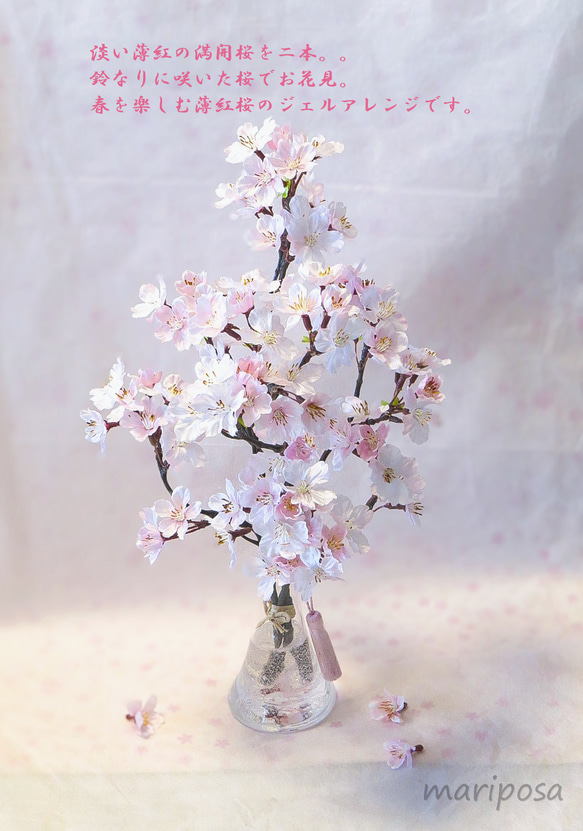 桜 ～ 薄紅色の満開桜（鈴なり）本物の桜の様な桜インテリア・ガラス器と透明ジェルの桜フラワーインテリア・無料ラッピング 5枚目の画像