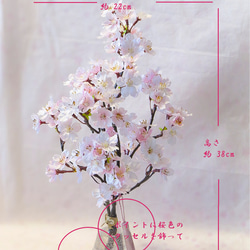 桜 ～ 薄紅色の満開桜（鈴なり）本物の桜の様な桜インテリア・ガラス器と透明ジェルの桜フラワーインテリア・無料ラッピング 4枚目の画像