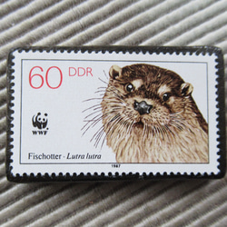 ドイツ　カワウソ切手ブローチ9466 1枚目の画像