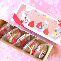 ★数量限定『ネコさんBOX』★季節のケーキ3種5個入り☆カカオ・いちご・ラムレーズン 1枚目の画像
