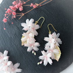 桜とかすみ草のリボンブーケピアス/イヤリング(樹脂、チタン