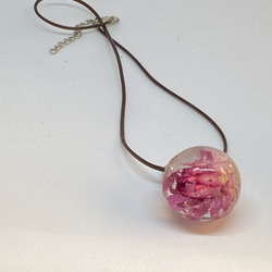 貝細工の球体ペンダント(ピンク) 2枚目の画像
