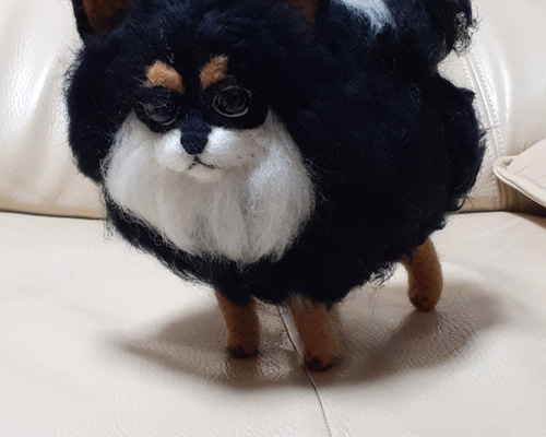 羊毛フェルト 黒ポメラニアン 羊毛フェルト Kingこうた 通販 17301195