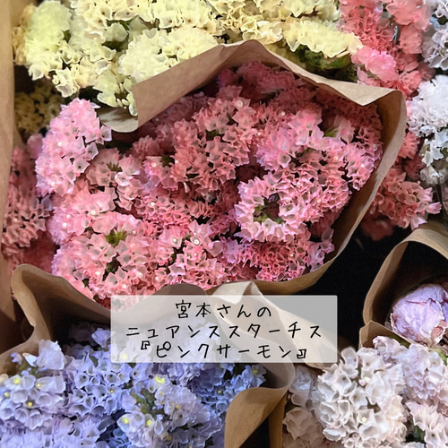 ハートリース 20cm くすみピンク 薔薇 ドライフラワー 母の日にも