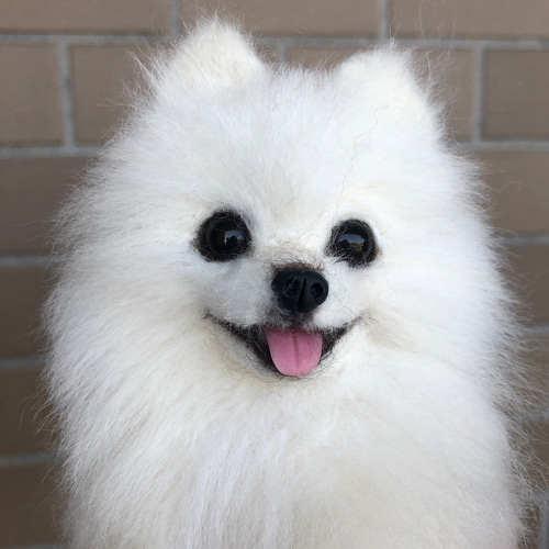 ポメちゃん 羊毛フェルト 全身オーダー ワンちゃん 送料無料